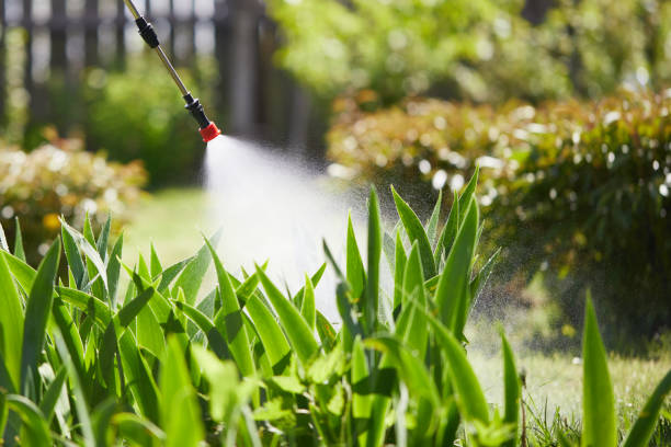 Tamper-Resistant Bait Stations for Rodents in Clayton