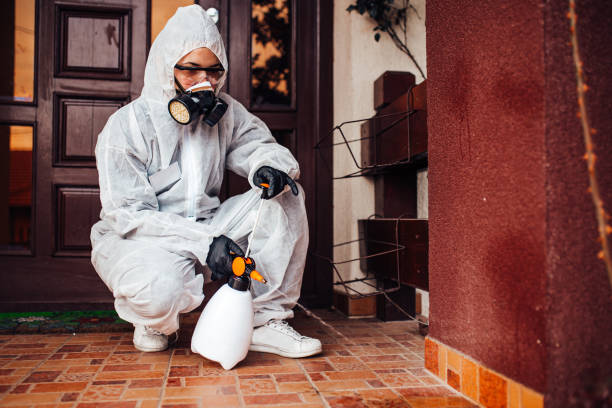 Attic and Crawl Space Rodent Treatment in Clayton